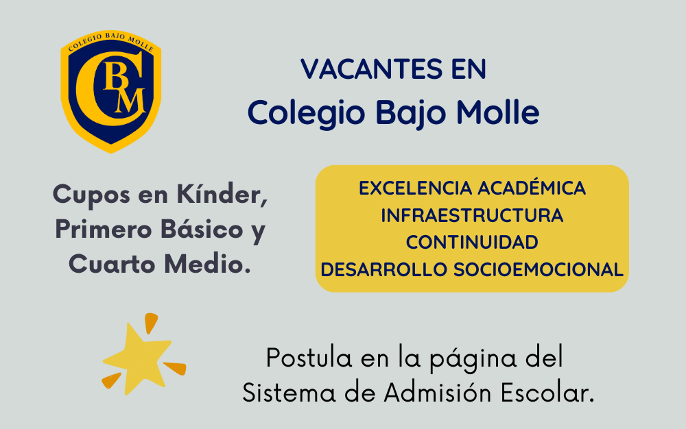 Vacantes disponibles en Colegio Bajo Molle